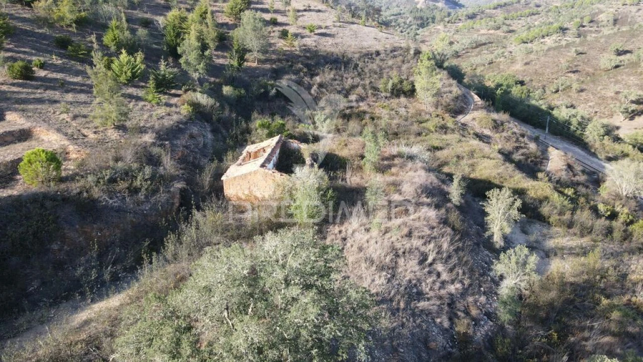 Quinta T1 para Venda em Luzianes-Gare Foto 4