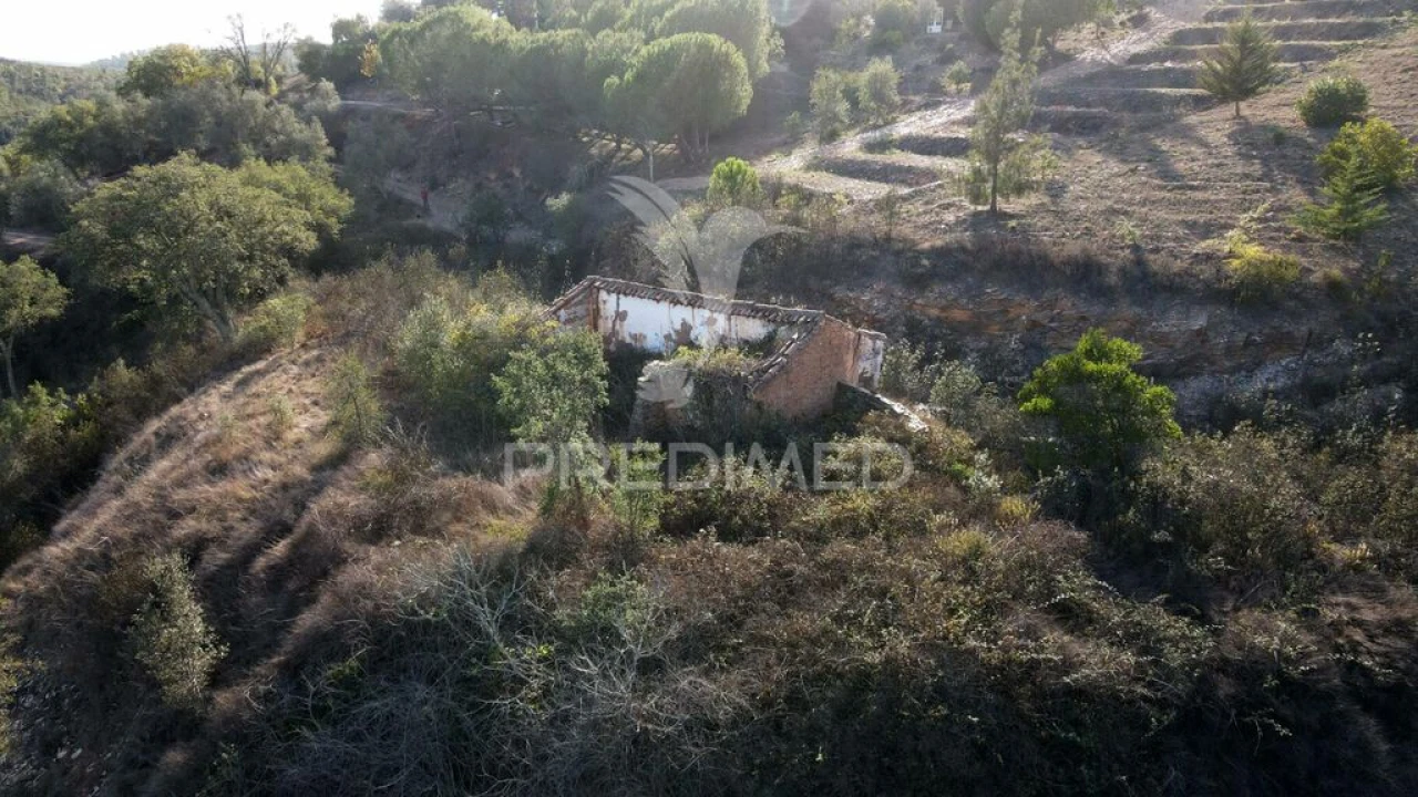 Quinta T1 para Venda em Luzianes-Gare Foto 5