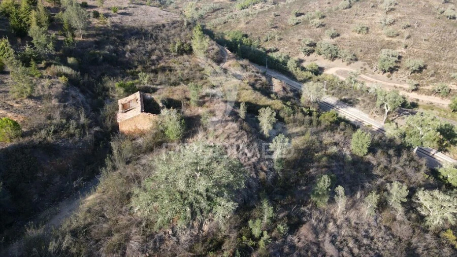 Quinta T1 para Venda em Luzianes-Gare Foto 10