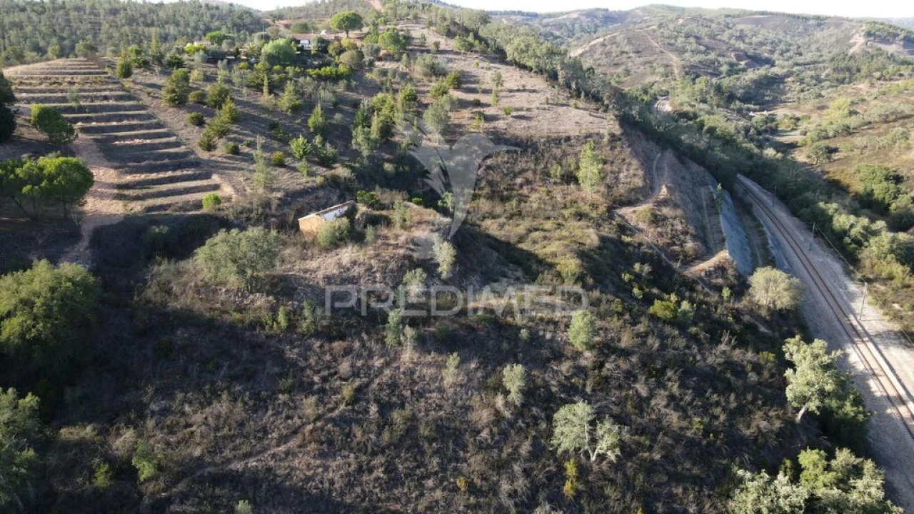 Quinta T1 para Venda em Luzianes-Gare Foto 13