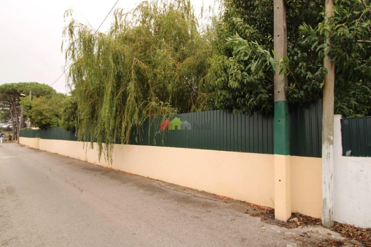 Quinta T3 para Venda em Santa Maria e São Miguel, São Martinho, São Pedro Penaferrim Foto 36