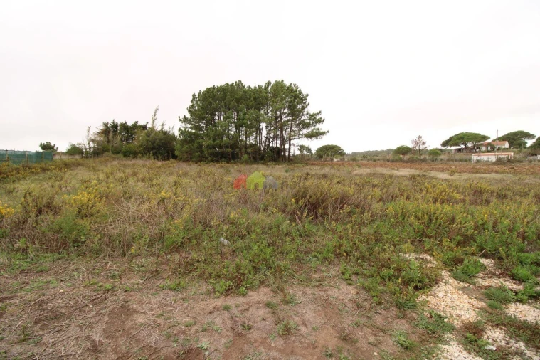 Quinta T3 para Venda em Santa Maria e São Miguel, São Martinho, São Pedro Penaferrim Foto 39