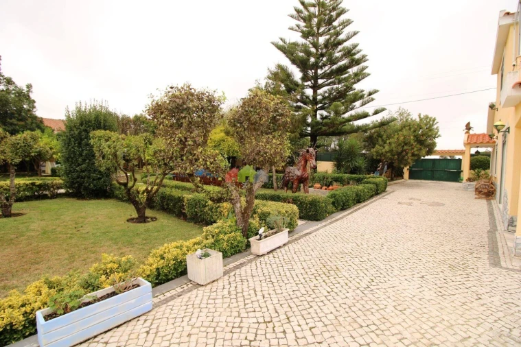 Quinta T3 para Venda em Santa Maria e São Miguel, São Martinho, São Pedro Penaferrim Foto 5