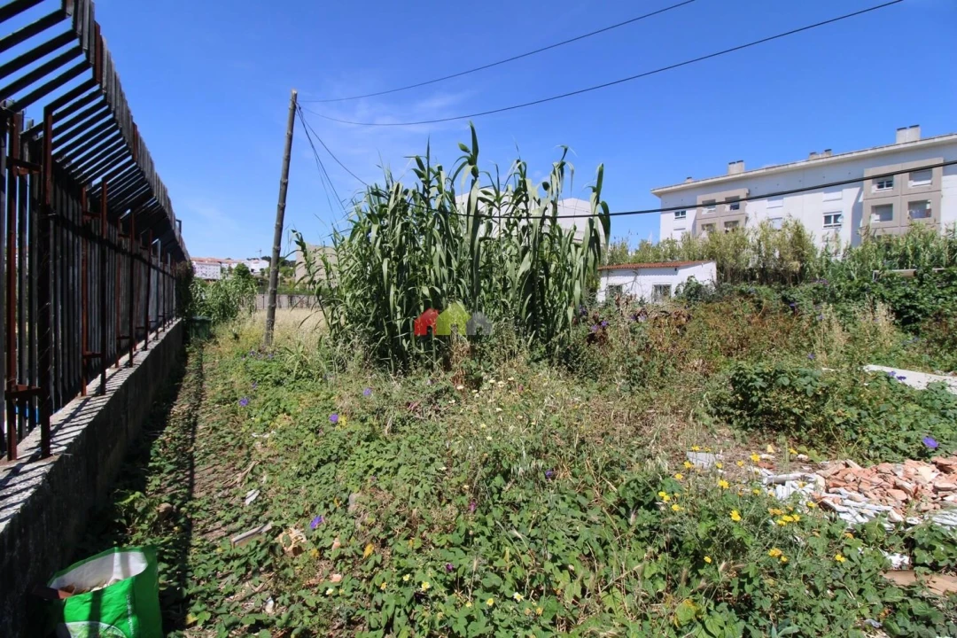 Terreno para Venda em Ajuda Foto 9
