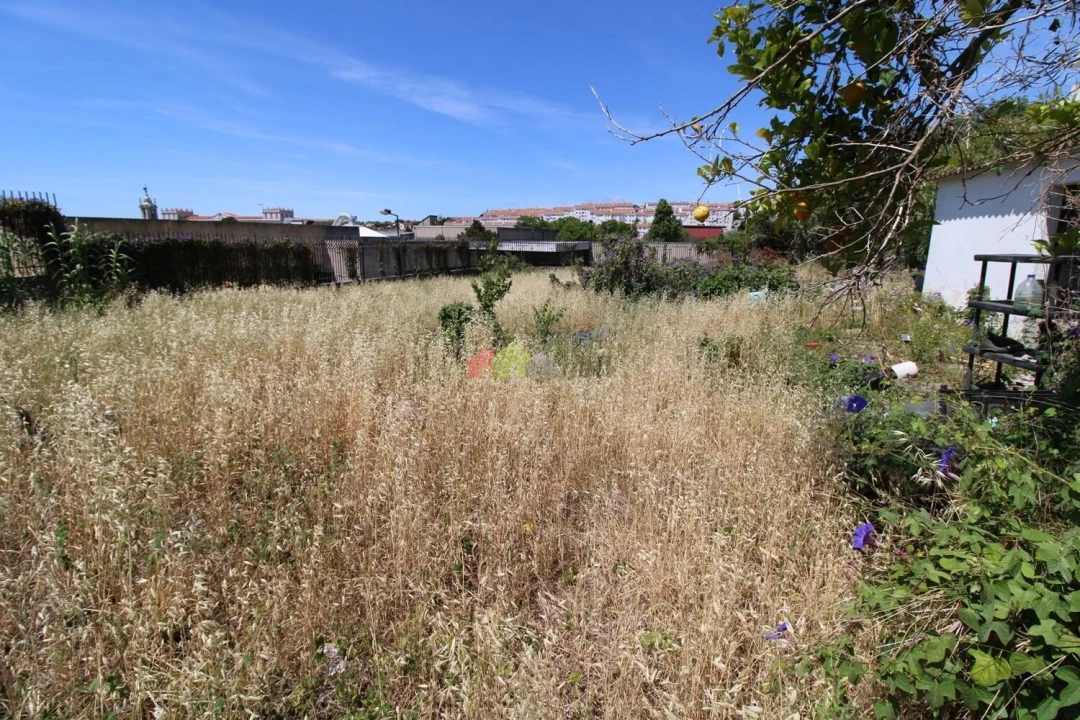 Terreno para Venda em Ajuda Foto 6
