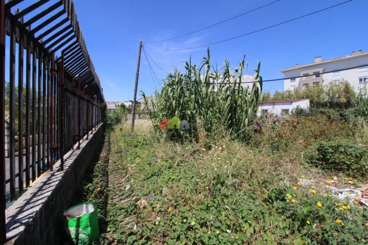 Terreno para Venda em Ajuda Foto 8