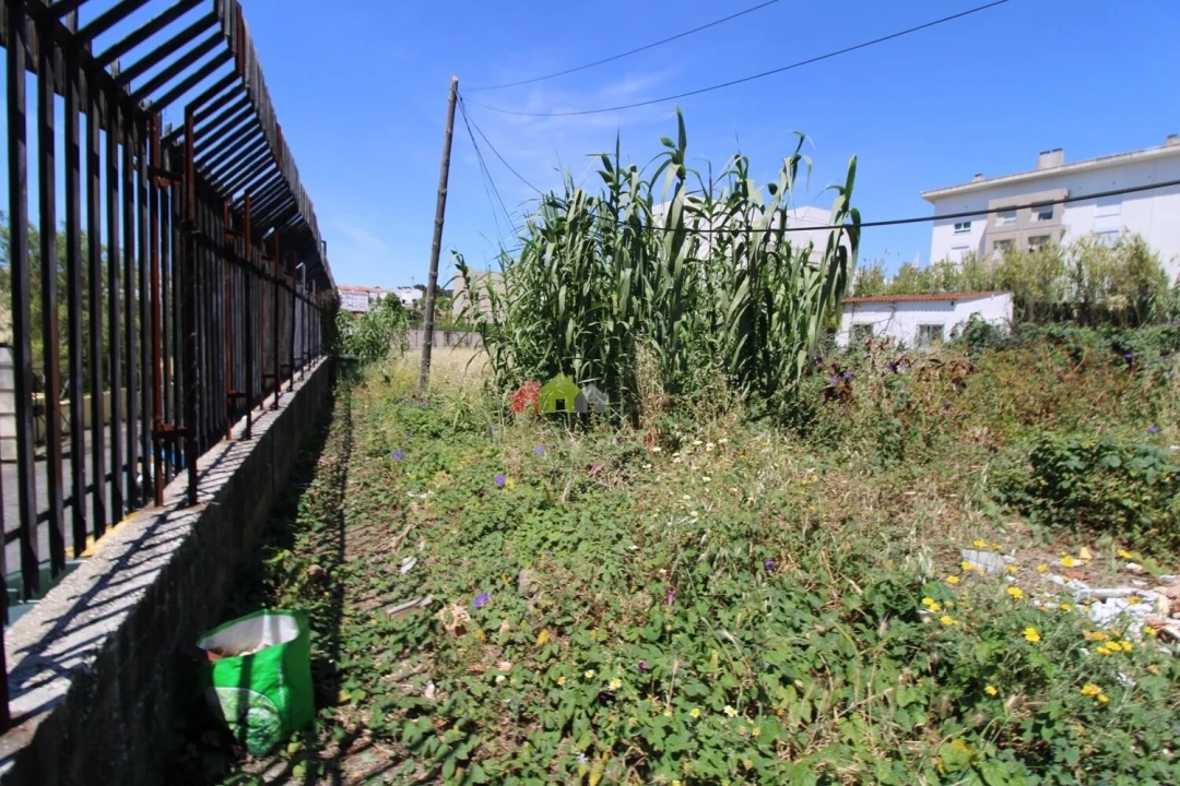 Terreno para Venda em Ajuda Foto 7