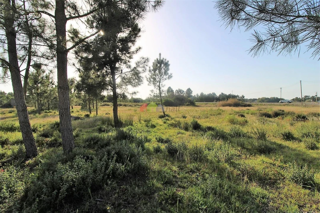 Terreno para Venda em Pegões Foto 14