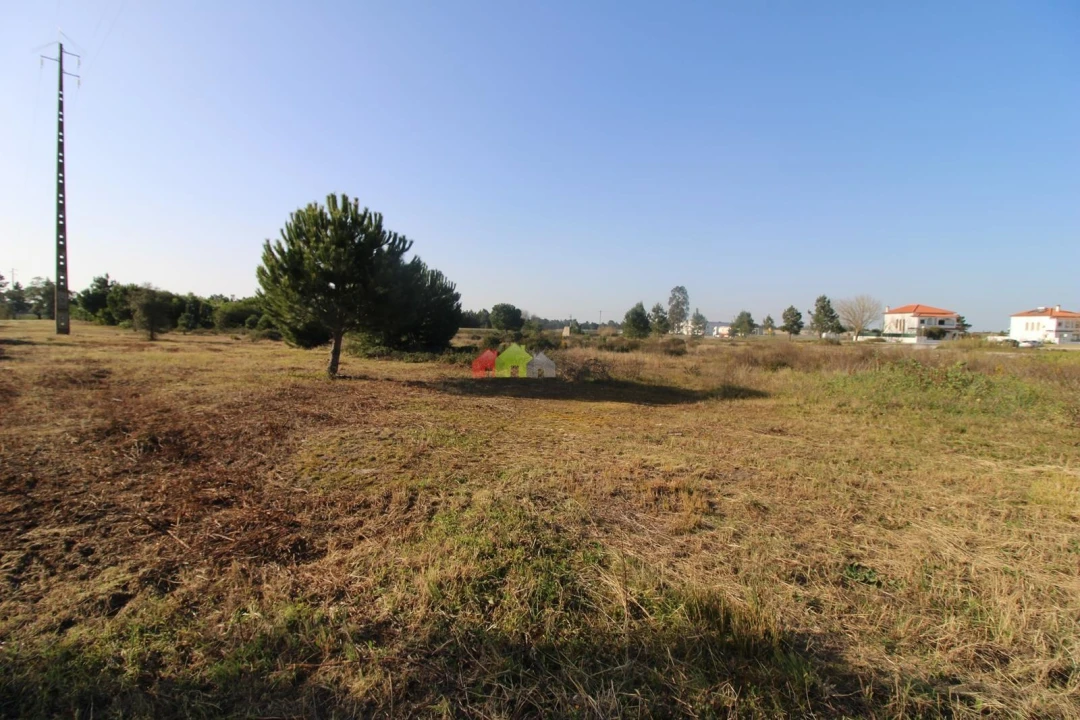 Terreno para Venda em Pegões Foto 11