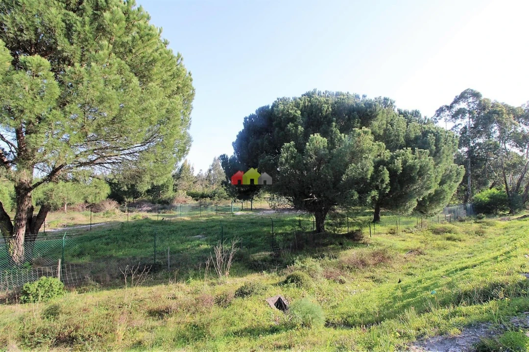 Terreno para Venda em Pegões Foto 19