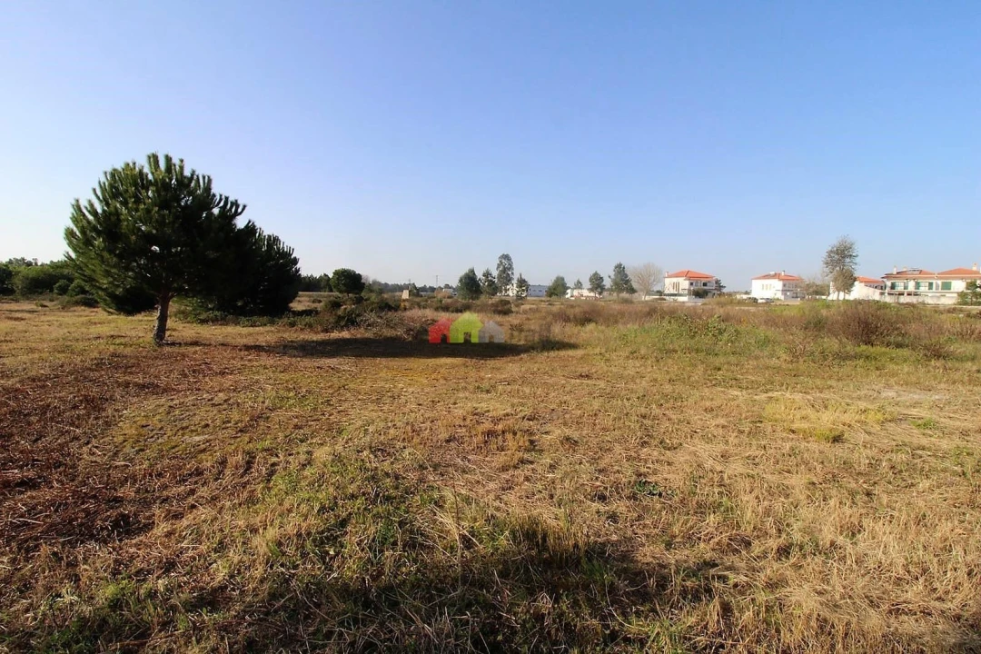 Terreno para Venda em Pegões Foto 9