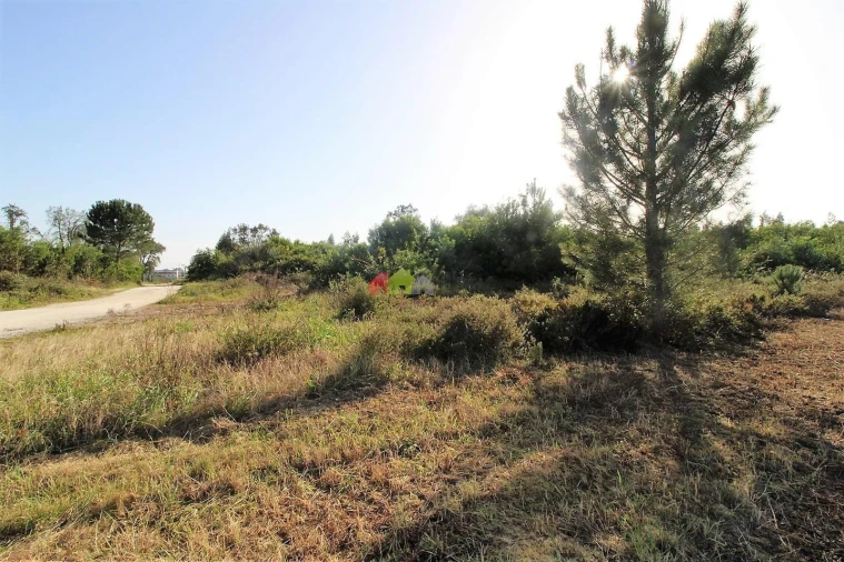 Terreno para Venda em Pegões Foto 8