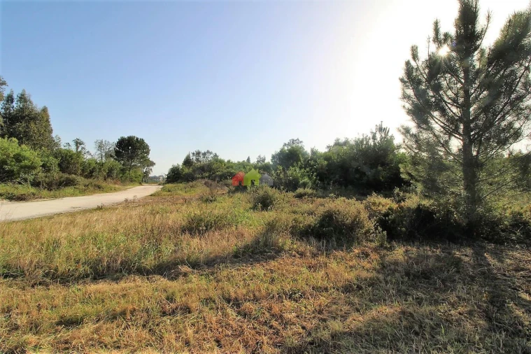 Terreno para Venda em Pegões Foto 6