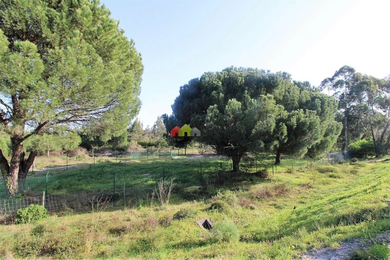 Terreno para Venda em Pegões Foto 19