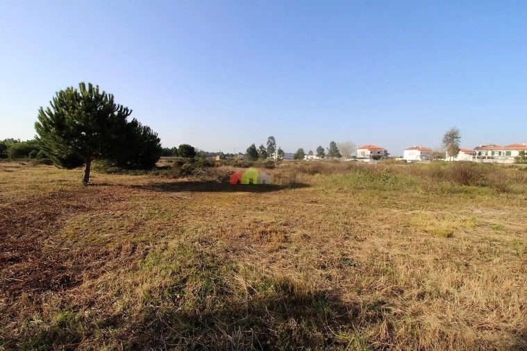 Terreno para Venda em Pegões Foto 9