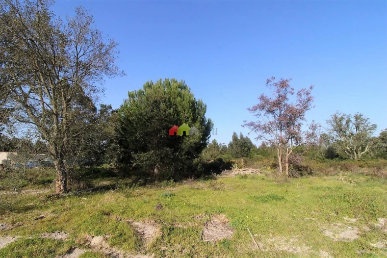 Terreno para Venda em Pegões Foto 4