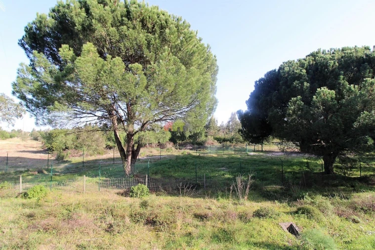 Terreno para Venda em Pegões Foto 18