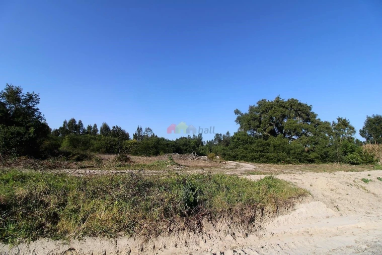 Terreno para Venda em Pegões Foto 5