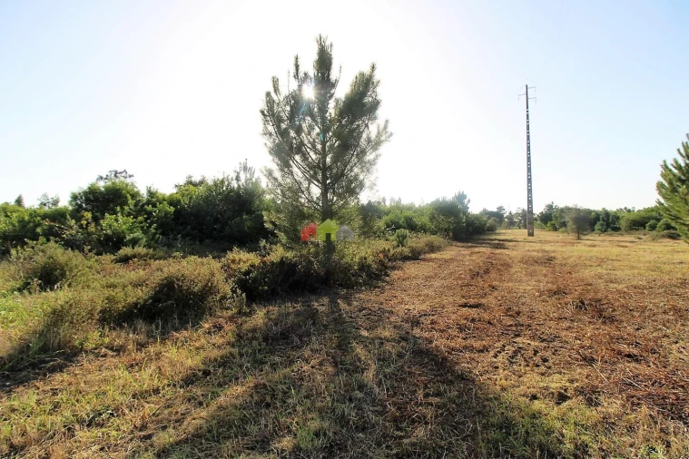 Terreno para Venda em Pegões Foto 7