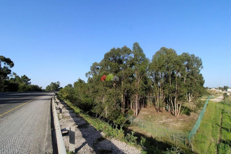 Terreno para Venda em Pegões Foto 20