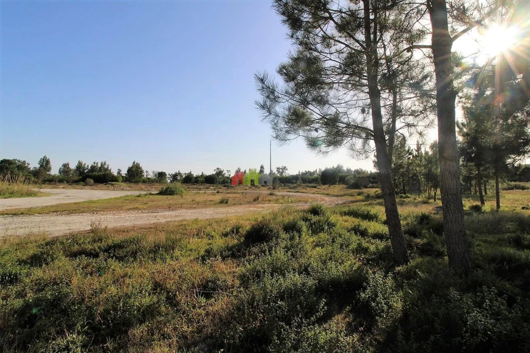 Terreno para Venda em Pegões Foto 15