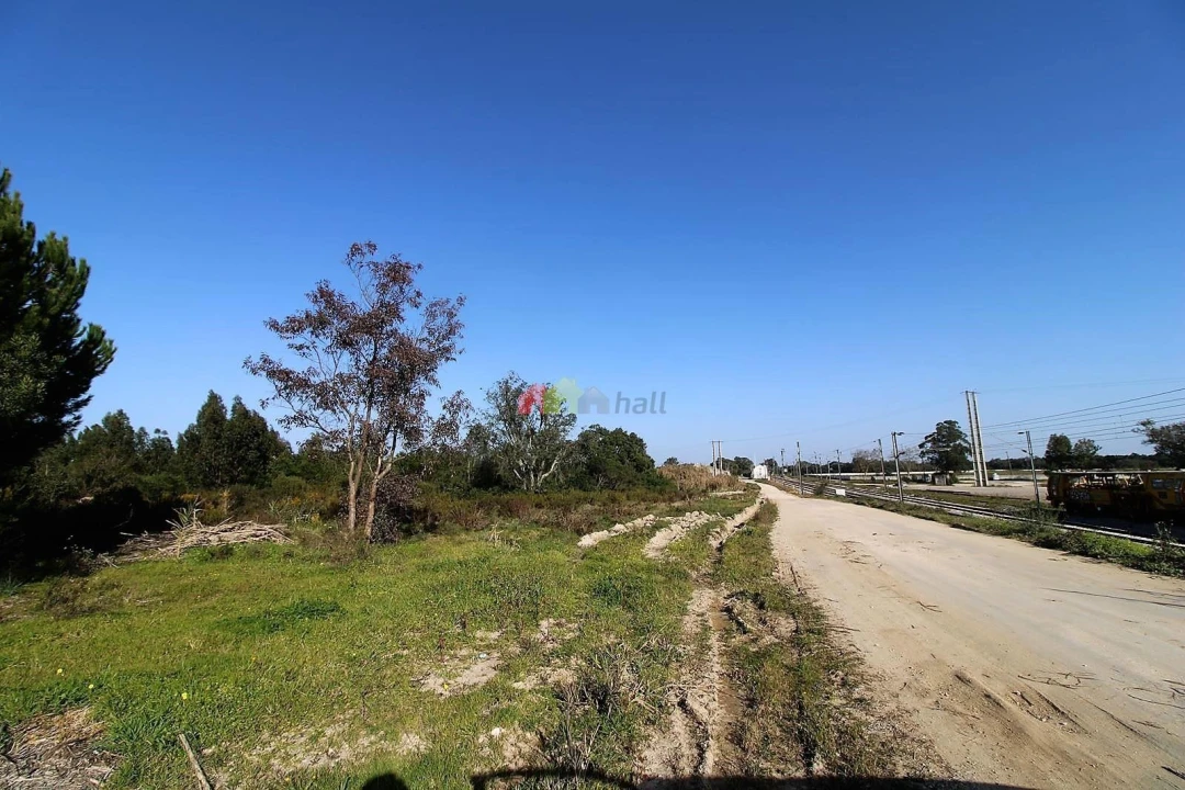 Terreno para Venda em Pegões Foto 3