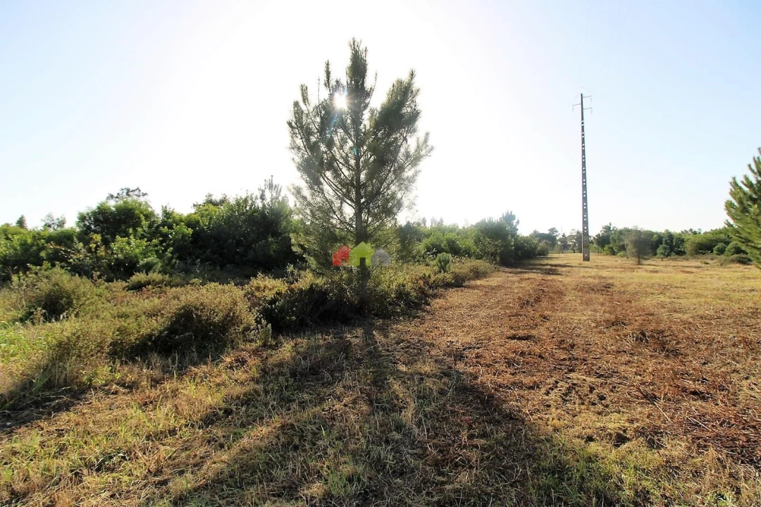 Terreno para Venda em Pegões Foto 7