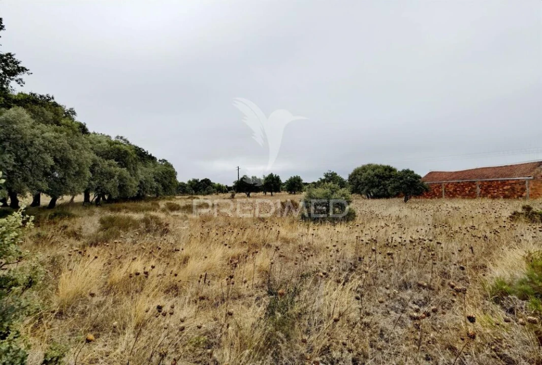 Terreno para Venda em Alcanena e Vila Moreira Foto 13