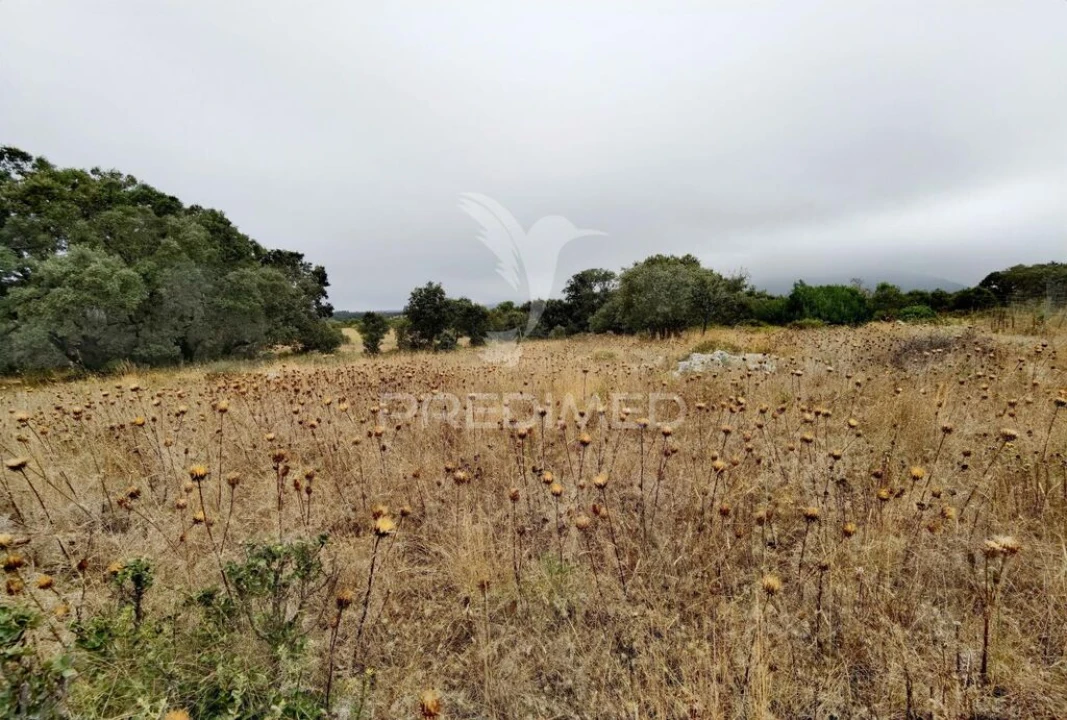 Terreno para Venda em Alcanena e Vila Moreira Foto 19