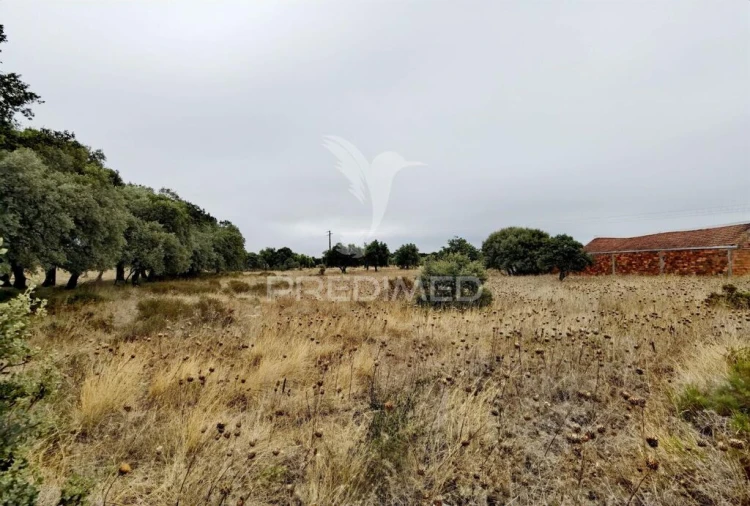 Terreno para Venda em Alcanena e Vila Moreira Foto 13