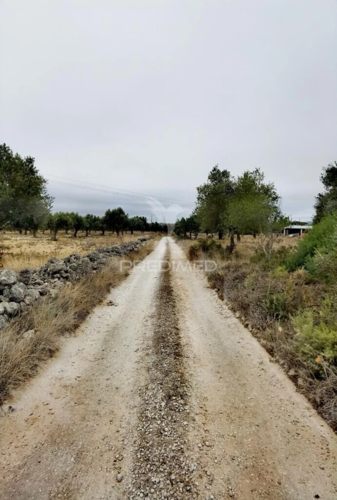 Terreno para Venda em Alcanena e Vila Moreira Foto 5