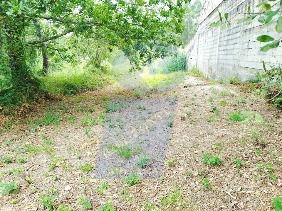 Terreno para Venda em Bustos, Troviscal e Mamarrosa Foto 3