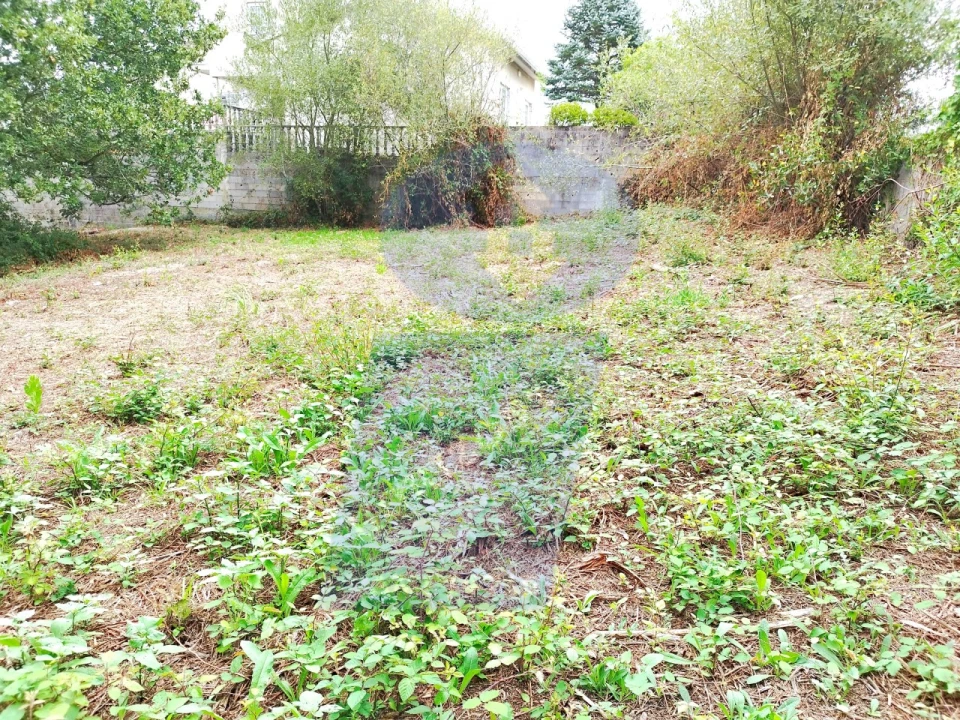 Terreno para Venda em Bustos, Troviscal e Mamarrosa Foto 4