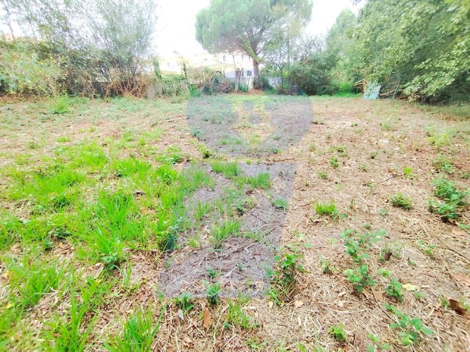 Terreno para Venda em Bustos, Troviscal e Mamarrosa Foto 7