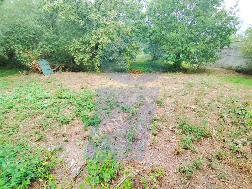 Terreno para Venda em Bustos, Troviscal e Mamarrosa Foto 13