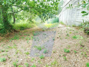 Terreno para Venda em Bustos, Troviscal e Mamarrosa