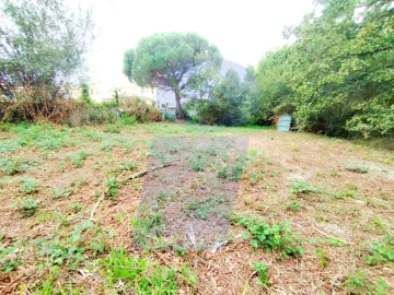 Terreno para Venda em Bustos, Troviscal e Mamarrosa