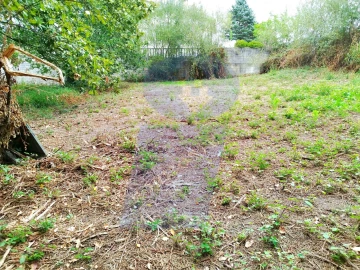 Terreno para Venda em Bustos, Troviscal e Mamarrosa