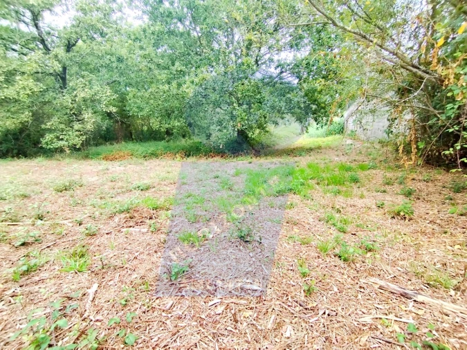 Terreno para Venda em Bustos, Troviscal e Mamarrosa Foto 5