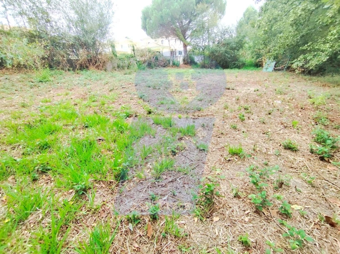Terreno para Venda em Bustos, Troviscal e Mamarrosa Foto 7