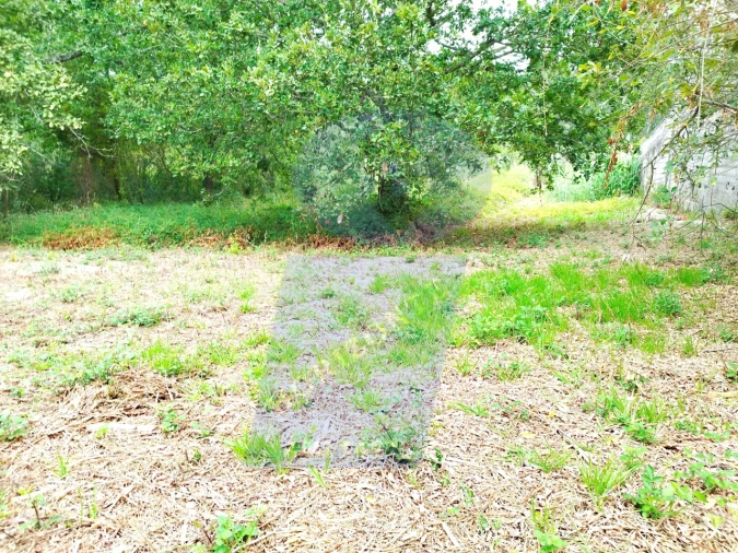 Terreno para Venda em Bustos, Troviscal e Mamarrosa Foto 9