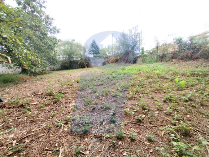 Terreno para Venda em Bustos, Troviscal e Mamarrosa Foto 10