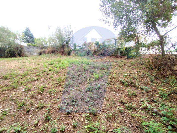 Terreno para Venda em Bustos, Troviscal e Mamarrosa Foto 12