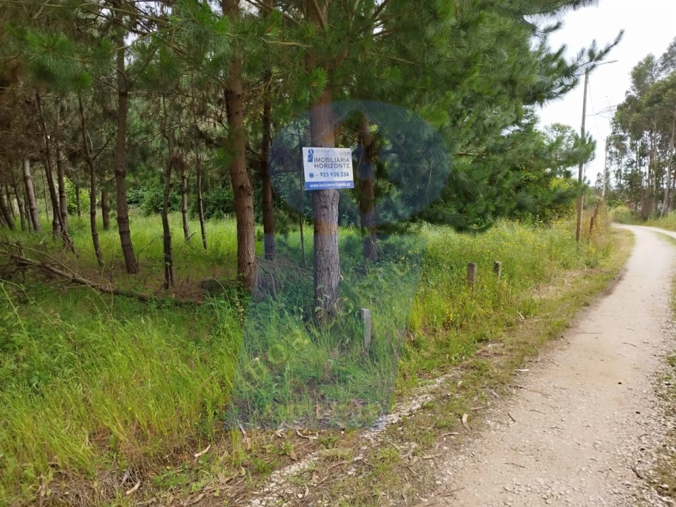 Terreno para Venda em Bustos, Troviscal e Mamarrosa Foto 5