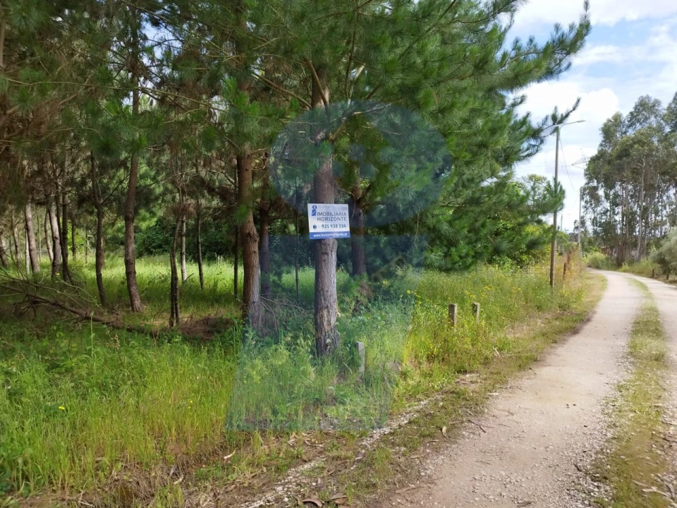 Terreno para Venda em Bustos, Troviscal e Mamarrosa Foto 1