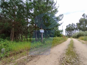 Terreno para Venda em Bustos, Troviscal e Mamarrosa