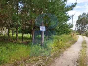 Terreno para Venda em Bustos, Troviscal e Mamarrosa
