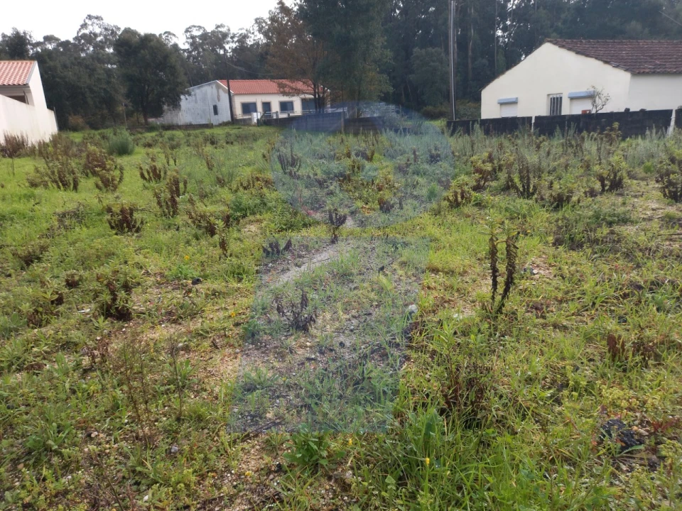 Terreno para Venda em Esgueira Foto 4