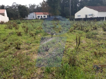 Terreno para Venda em Esgueira