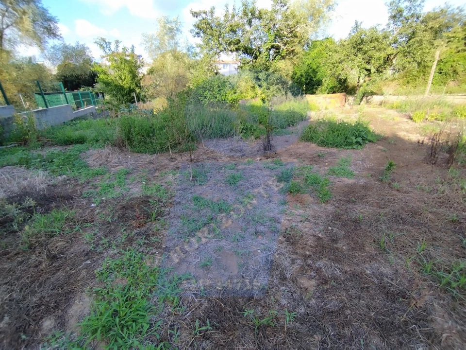 Terreno para Venda em Amoreira da Gândara, Paredes do Bairro e Ancas Foto 1